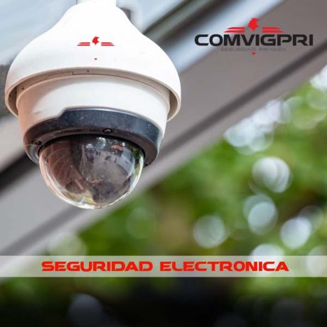 seguridadElectronica